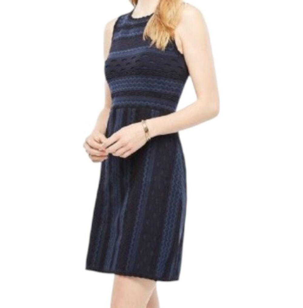 Ann Taylor Women's Size M Fit & Flare Dress Stitch Stretch Knit Dark Blue Career